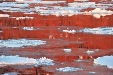 Northeast Greenland © Etienne Pierart